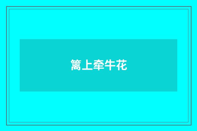 篱上牵牛花