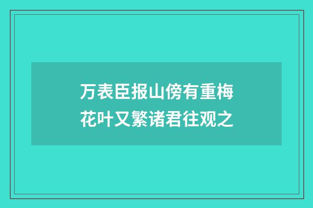 万表臣报山傍有重梅花叶又繁诸君往观之