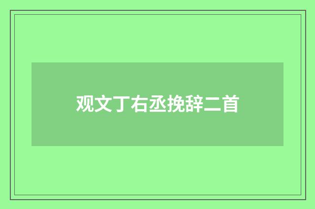 观文丁右丞挽辞二首