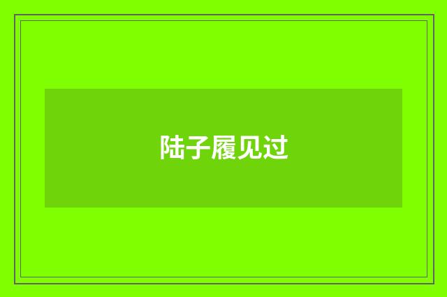 陆子履见过