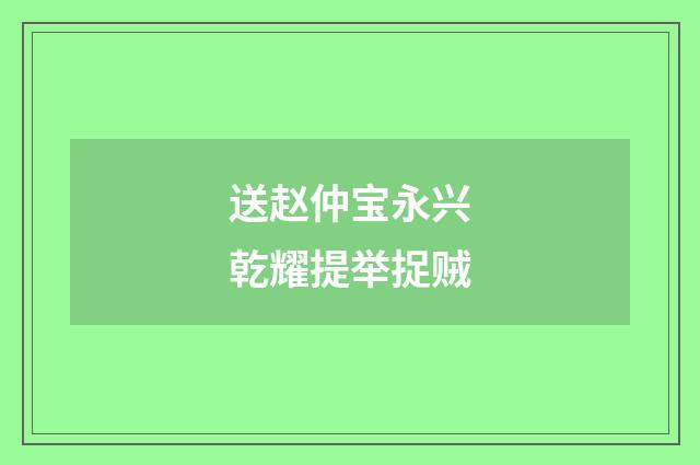 送赵仲宝永兴乾耀提举捉贼