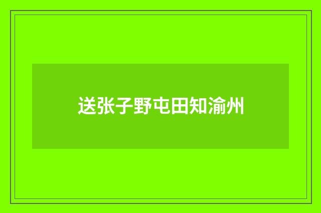送张子野屯田知渝州
