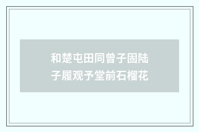 和楚屯田同曾子固陆子履观予堂前石榴花