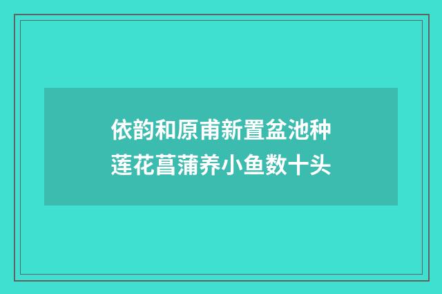 依韵和原甫新置盆池种莲花菖蒲养小鱼数十头