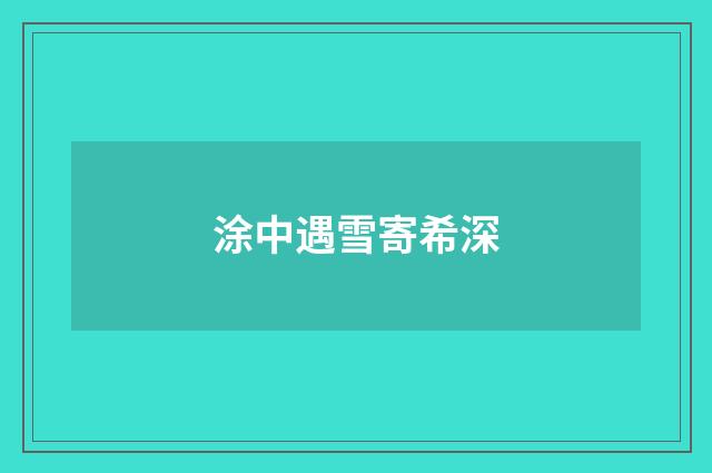 涂中遇雪寄希深