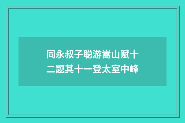 同永叔子聪游嵩山赋十二题其十一登太室中峰