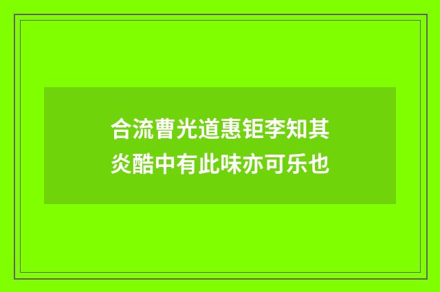 合流曹光道惠钜李知其炎酷中有此味亦可乐也