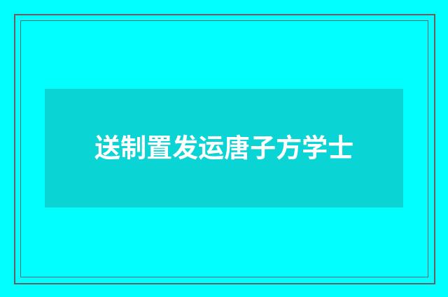 送制置发运唐子方学士