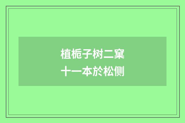 植栀子树二窠十一本於松侧