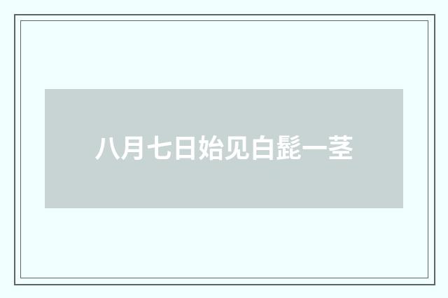 八月七日始见白髭一茎