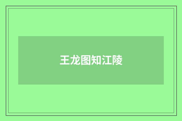 王龙图知江陵