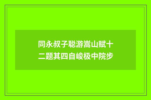 同永叔子聪游嵩山赋十二题其四自峻极中院步