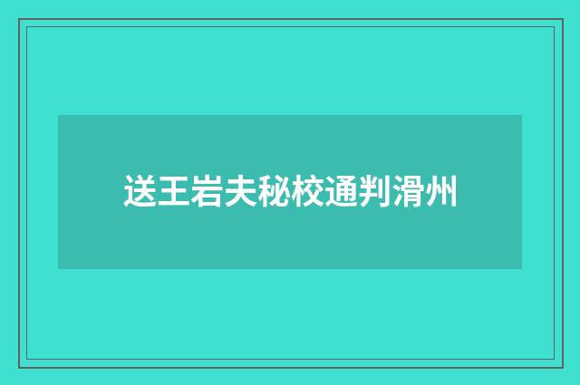 送王岩夫秘校通判滑州