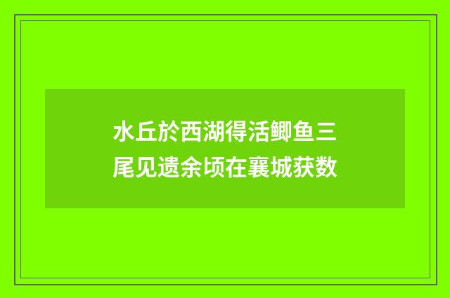 水丘於西湖得活鲫鱼三尾见遗余顷在襄城获数