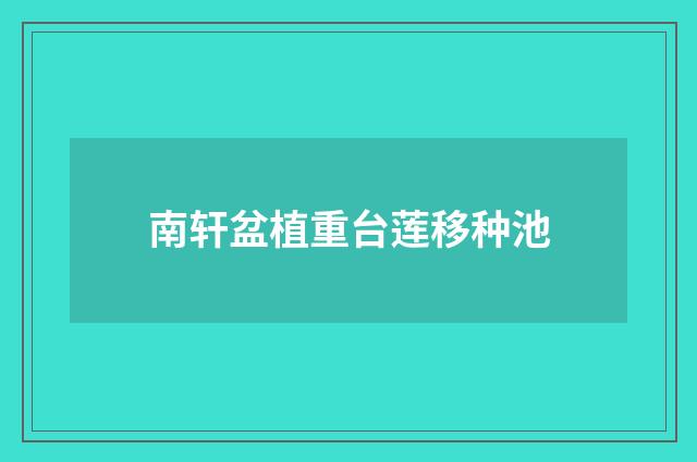 南轩盆植重台莲移种池