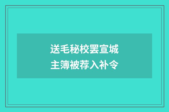 送毛秘校罢宣城主簿被荐入补令