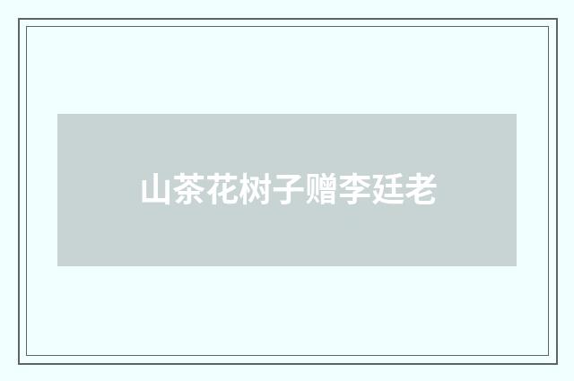 山茶花树子赠李廷老