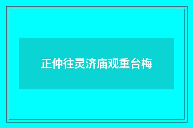 正仲往灵济庙观重台梅