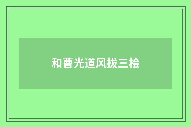 和曹光道风拔三桧