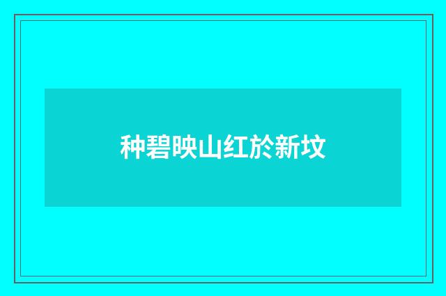 种碧映山红於新坟