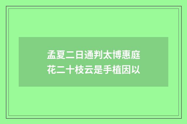 孟夏二日通判太博惠庭花二十枝云是手植因以