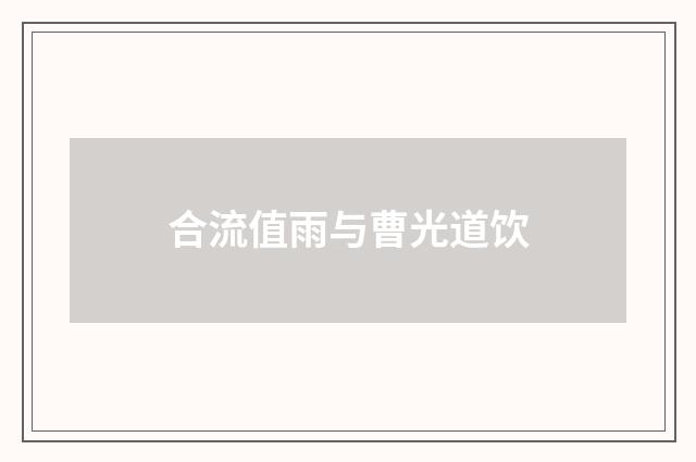 合流值雨与曹光道饮