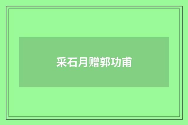 采石月赠郭功甫