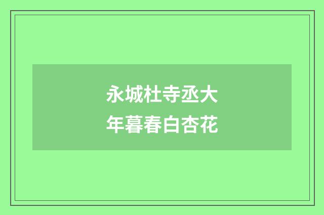 永城杜寺丞大年暮春白杏花
