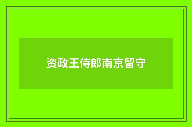 资政王侍郎南京留守
