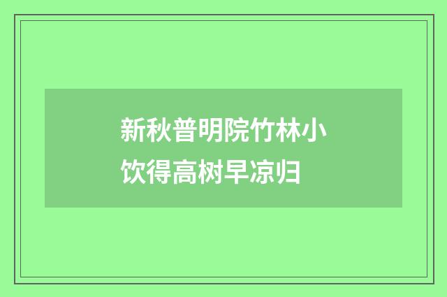 新秋普明院竹林小饮得高树早凉归