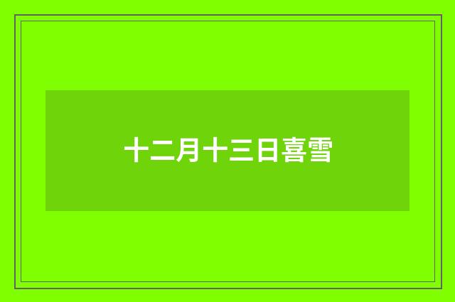 十二月十三日喜雪