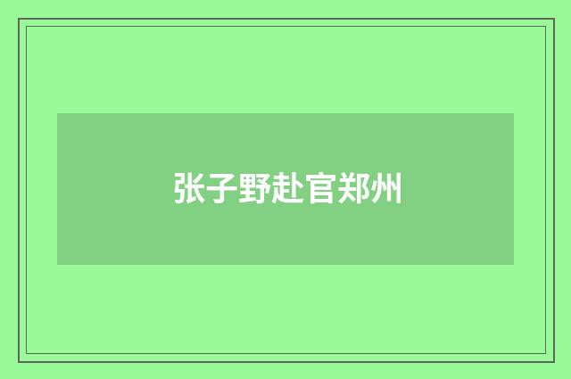 张子野赴官郑州