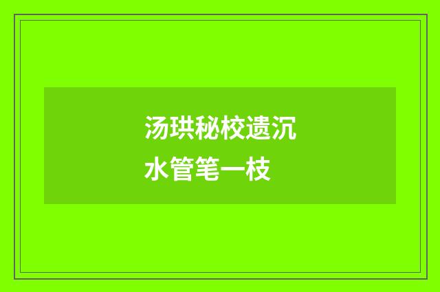 汤珙秘校遗沉水管笔一枝