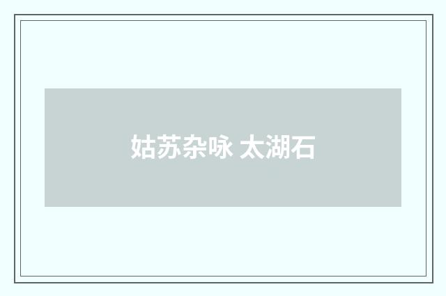 姑苏杂咏 太湖石