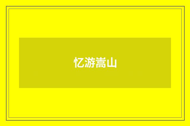 忆游嵩山