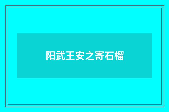阳武王安之寄石榴