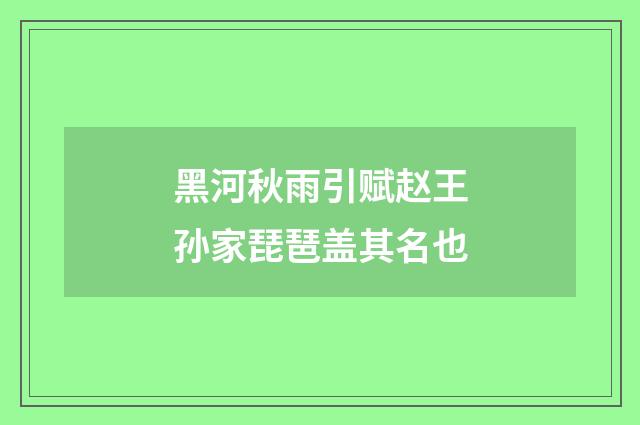 黑河秋雨引赋赵王孙家琵琶盖其名也