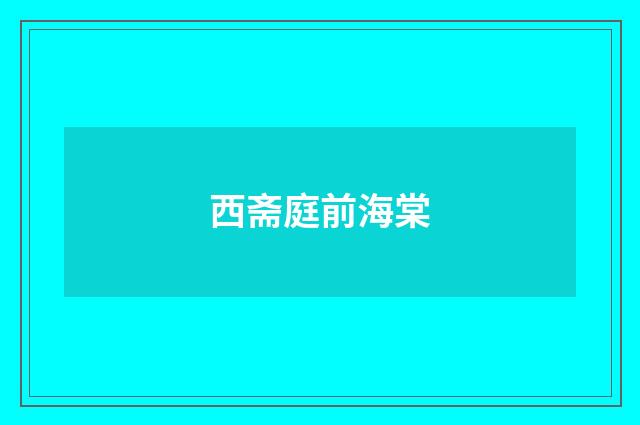 西斋庭前海棠
