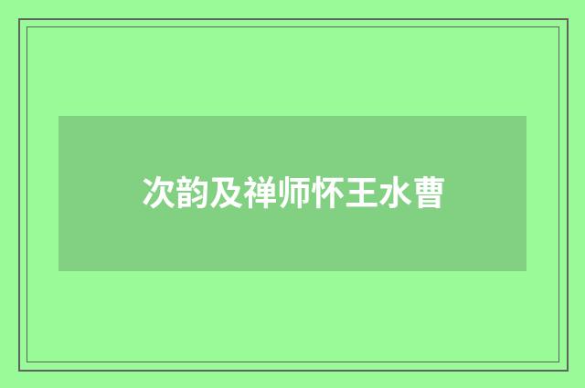 次韵及禅师怀王水曹