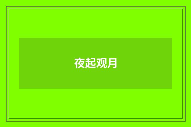 夜起观月