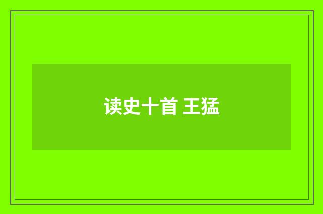 读史十首 王猛