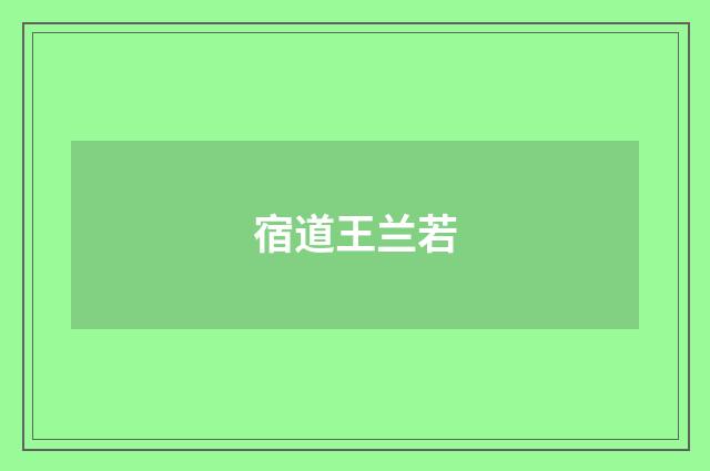 宿道王兰若