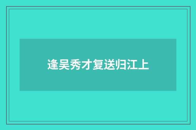 逢吴秀才复送归江上