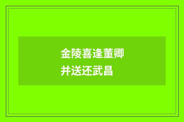 金陵喜逢董卿并送还武昌