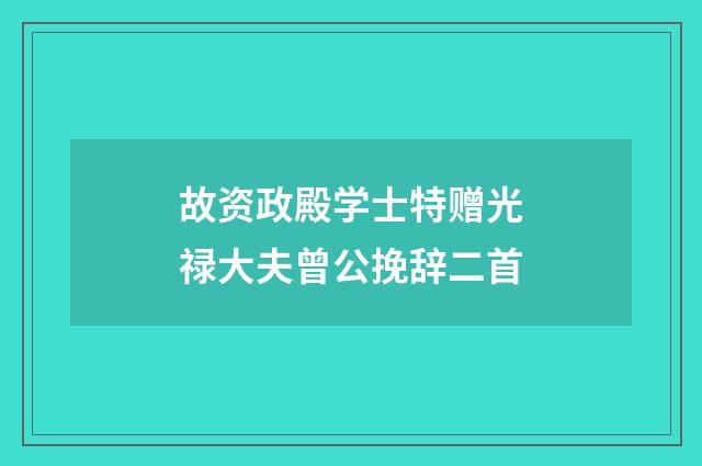 故资政殿学士特赠光禄大夫曾公挽辞二首