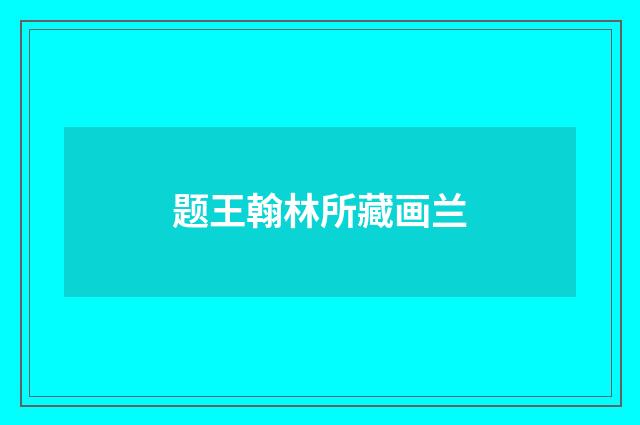 题王翰林所藏画兰