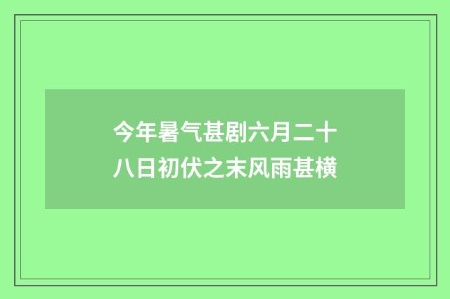 今年暑气甚剧六月二十八日初伏之末风雨甚横