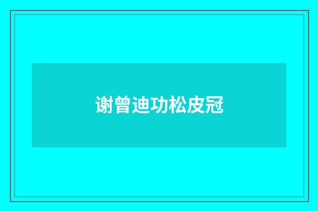 谢曾迪功松皮冠