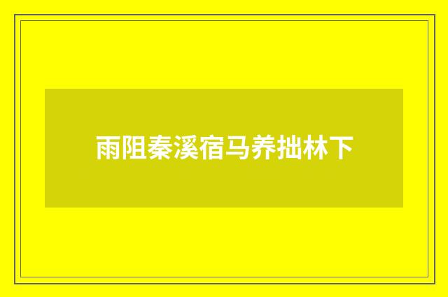 雨阻秦溪宿马养拙林下
