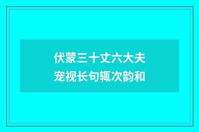 伏蒙三十丈六大夫宠视长句辄次韵和